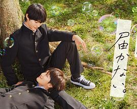 日本大片在线海报剧照